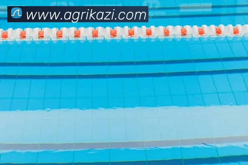 ag百家乐服务体系